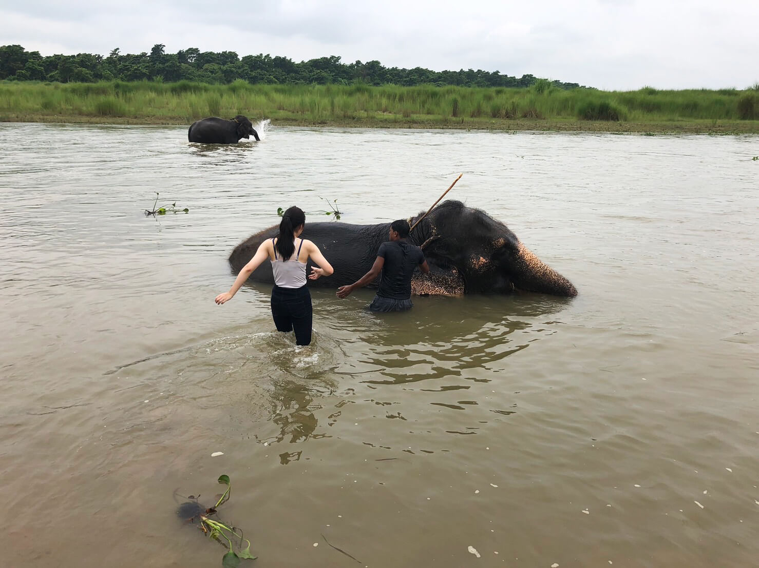 川で偶然象に出会って、背中に乗せてもらった時のハナシ04