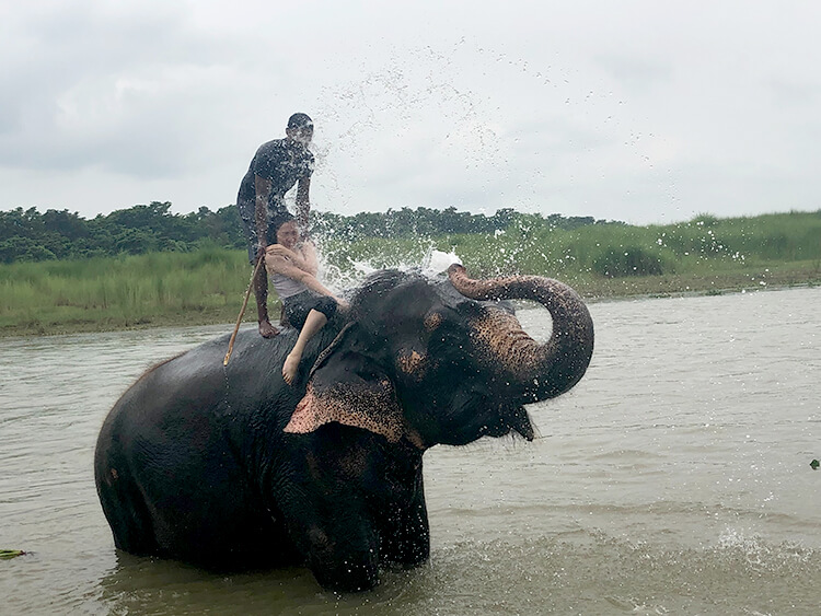 川で偶然象に出会って、背中に乗せてもらった時のハナシ05