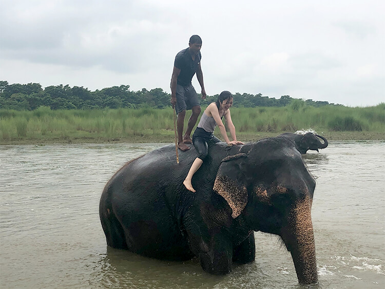川で偶然象に出会って、背中に乗せてもらった時のハナシ06