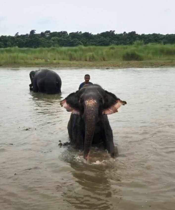 川で偶然象に出会って、背中に乗せてもらった時のハナシ07