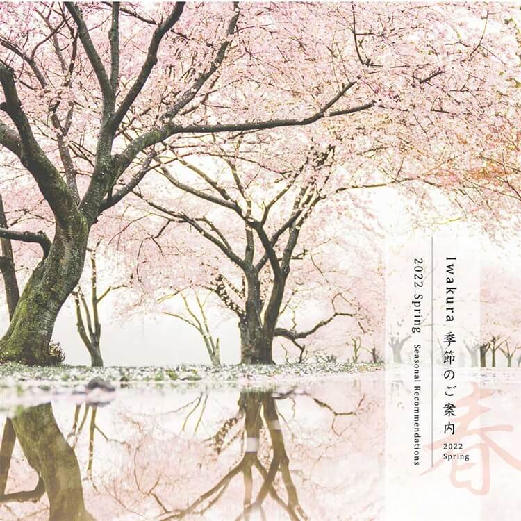 【季節の新商品】桜の花咲く春のアイテム