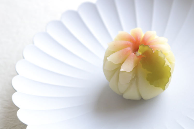 菊の和菓子