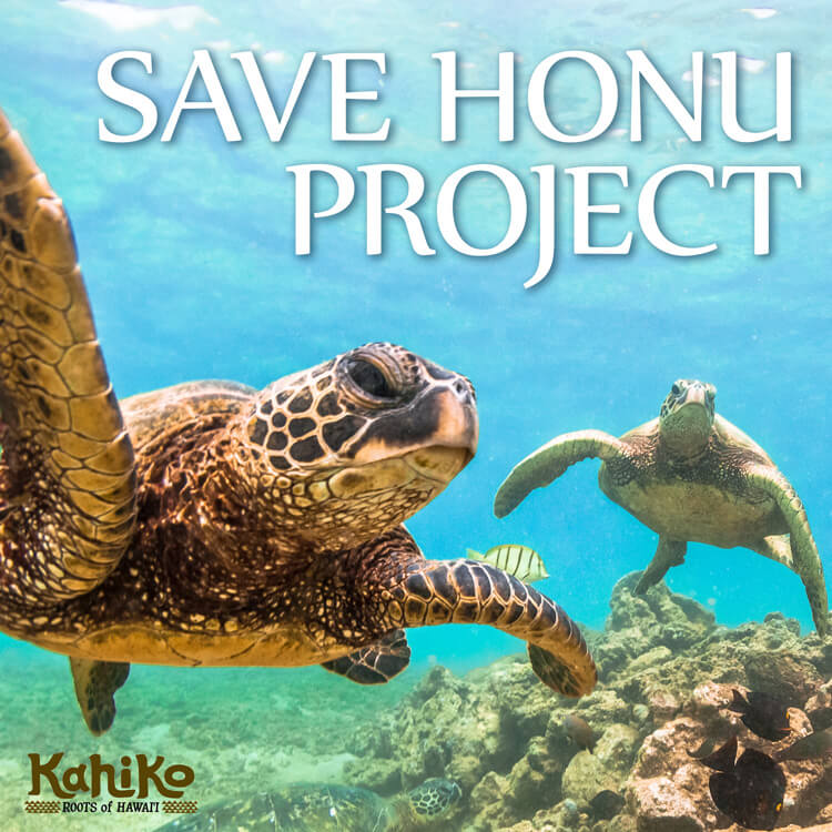 ハワイのウミガメを守るため。SAVE HONU PROJECTで繋がる支援の