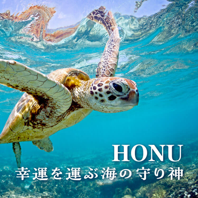 幸運を運んでくれる海の守り神“ホヌ”～ハワイのウミガメに会いたい～