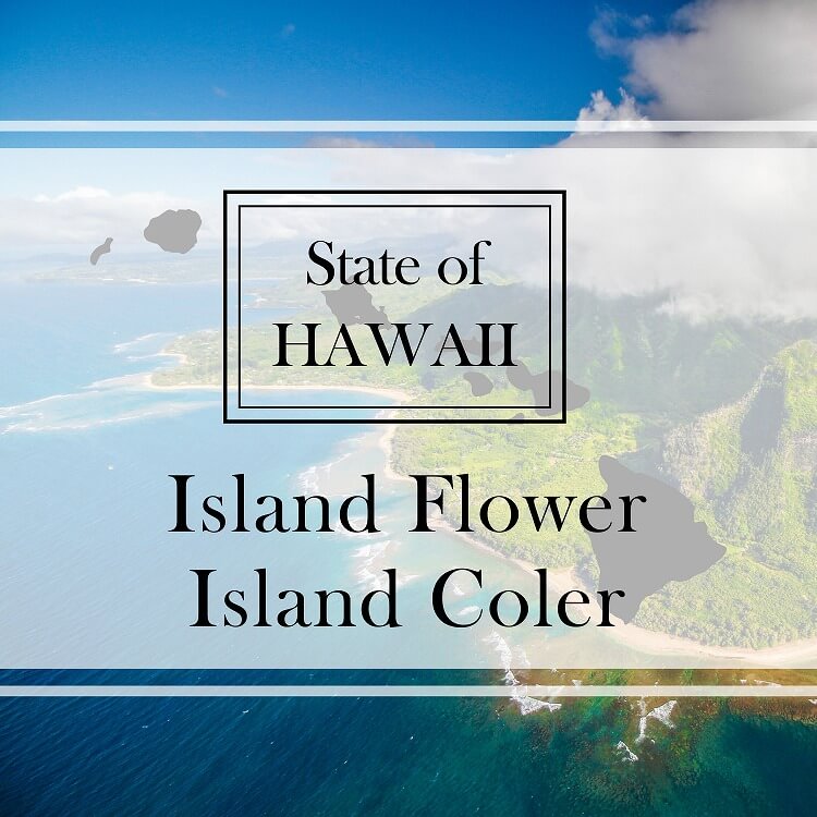 「島の花」「島の色」を知れば、ハワイがもっと好きになる！？