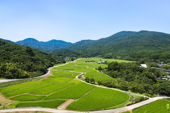 里山とは？ 自然と人が共生する魅力や、再生への取り組みをご紹介