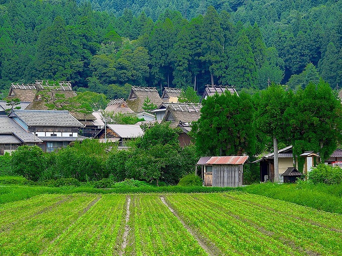 奥山、山里との違いは？