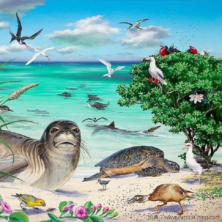 ワイキキ水族館で配られた塗り絵で、自然を感じる時間を